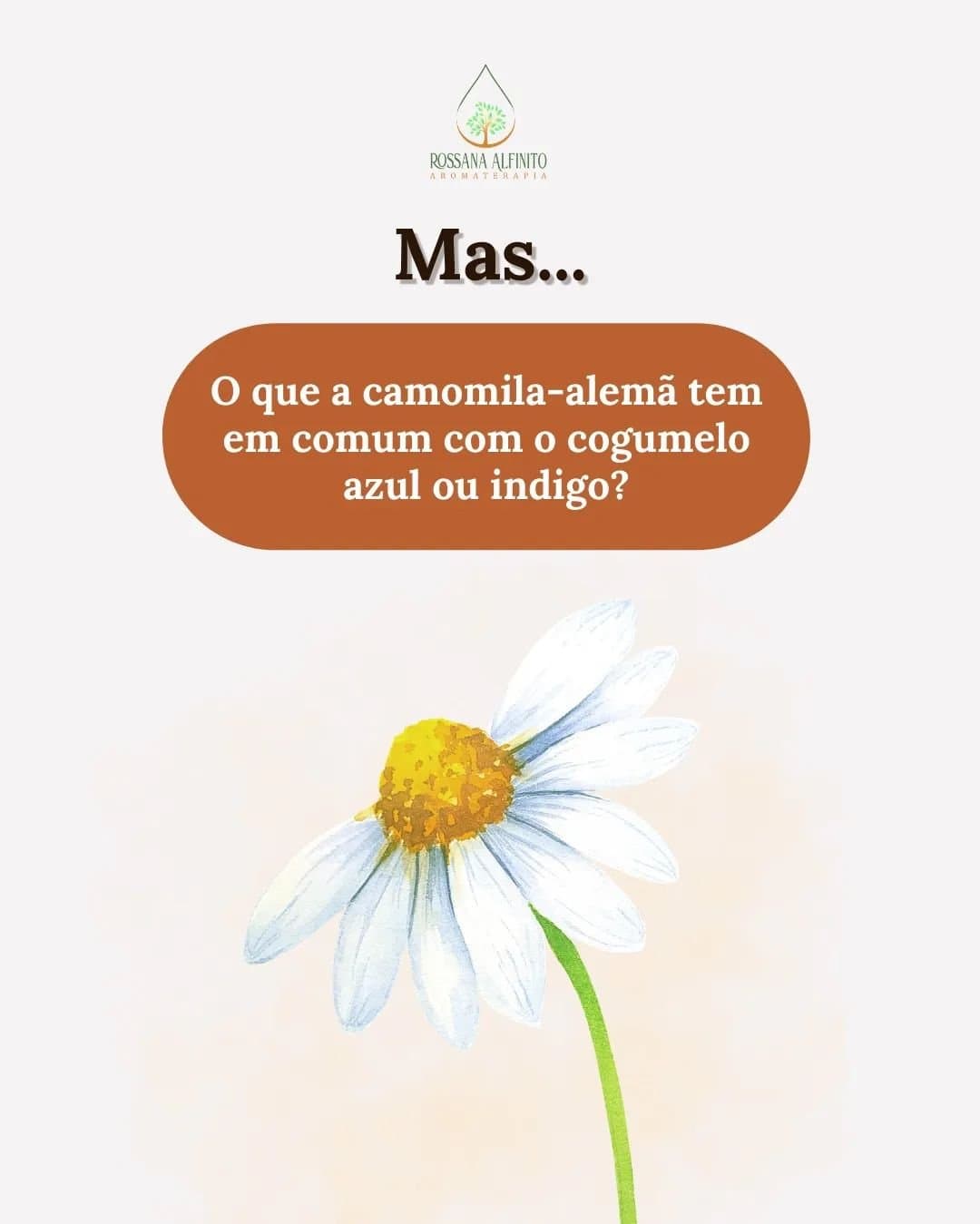 posts-instagram